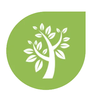 green energy africa NATURAL RESOURCES Aviator